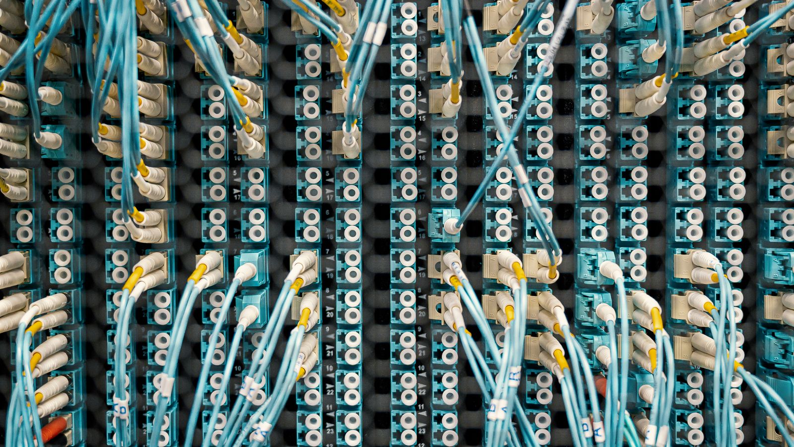 Panneau de brassage réseau reliant des dizaines de câbles fibre, métaphore d'un profil de liens dense.